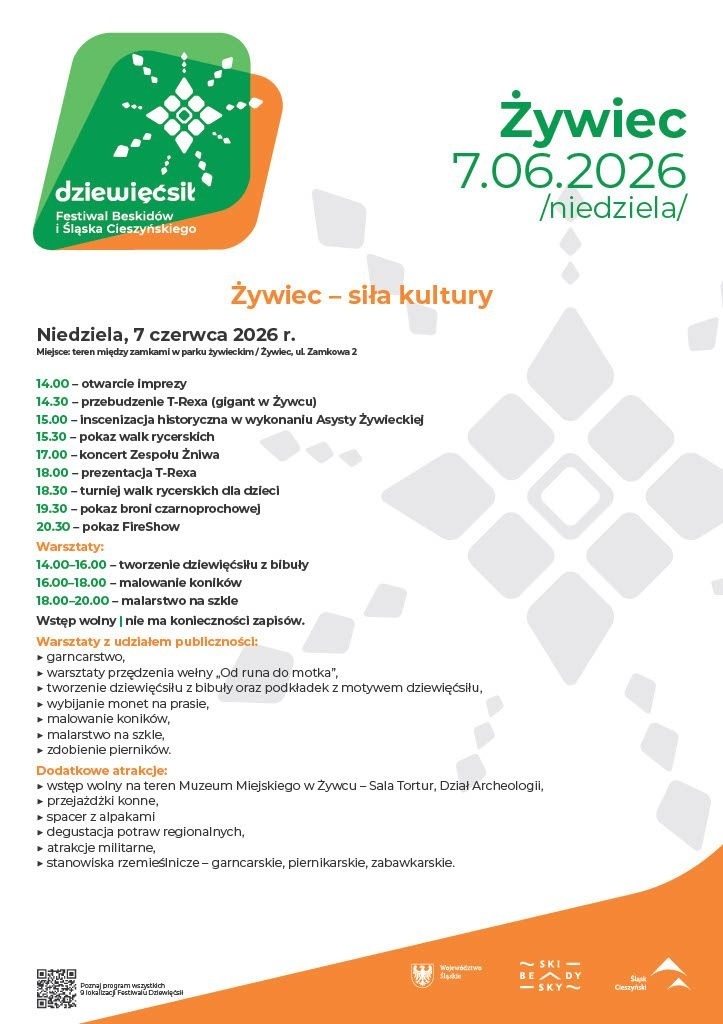 Plakat Festiwal Dziewięćsił